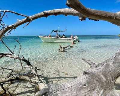 Explore Key West Sandbars Private Charter
