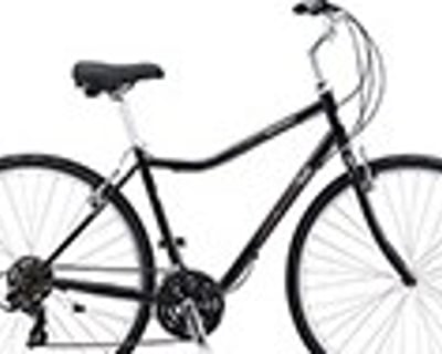 Ride a Hybrid Bike Rental in Miami Beach
