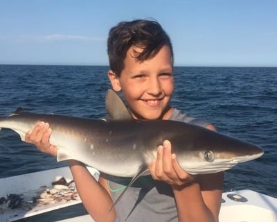 4.5-Hour Shark & Bottom Fishing Charter in North Myrtle Beach