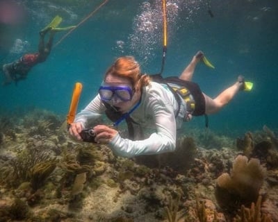 Fossil Dive & Shark Tooth Hunt in Nokomis FL