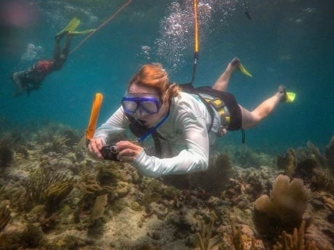 Fossil Dive & Shark Tooth Hunt in Nokomis FL