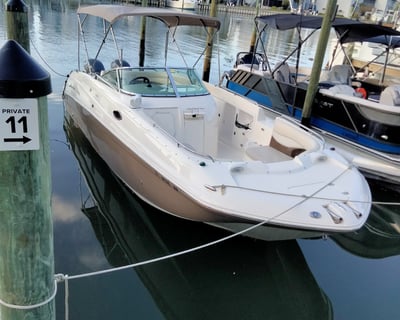 Cruise Tampa Bay on a 4-Hour Private Charter