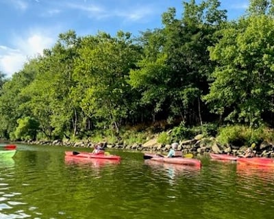 Guided Kayak Nature Tour in Washington, DC