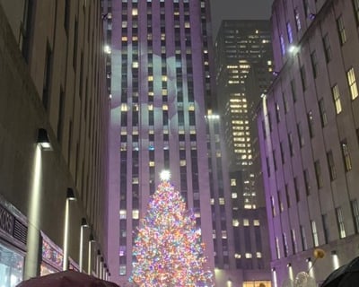 Elf Movie Sites Tour in Central Park