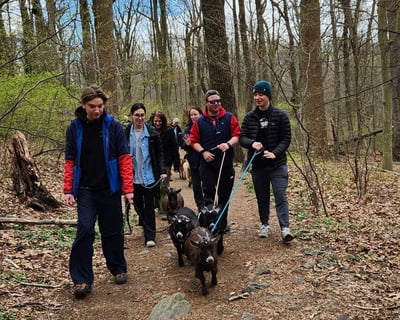 Goat Hike at Wissahickon Valley Park in Philadelphia
