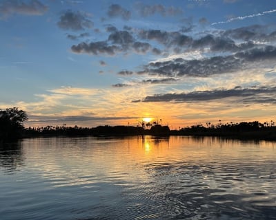 Withlacoochee River 2-Hour Private Cruise