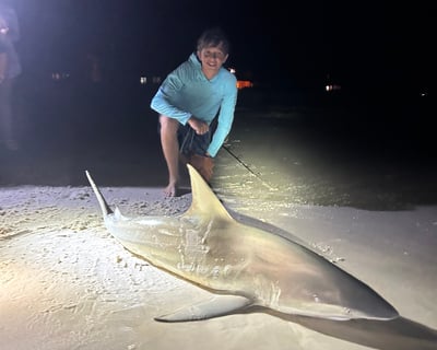 Night Shark Fishing Charter in Santa Rosa Beach