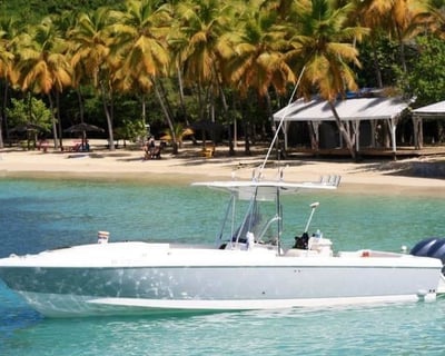 Full-Day Private Boat Charter in St. Thomas