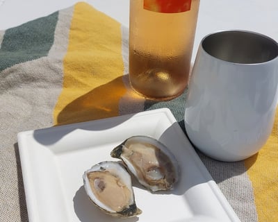 Cape May Oyster Sailing Cruise