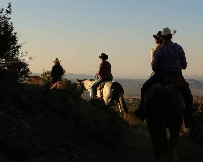 Advanced Horseback Ride in Joshua Tree