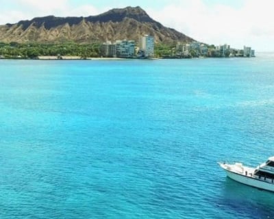 North Shore Oahu Galapagos Shark Charter Cruise