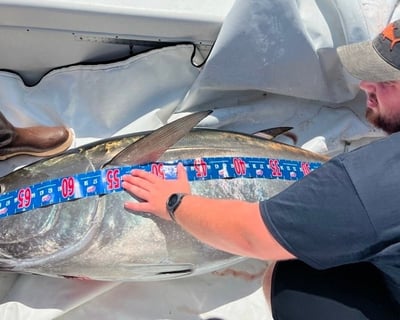 11-Hour Cape Cod Bass & Tuna Fishing Charter