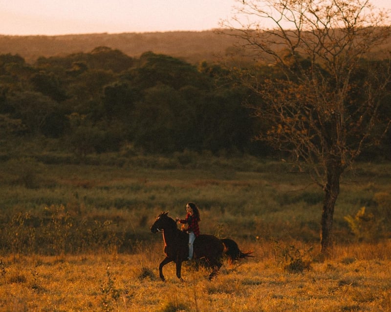 Horseback Riding Lesson & Trail Ride in Sayreville, NJ