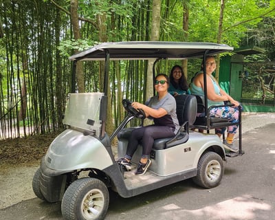 Private Mammoth Cave & Kangaroo Tour From Nashville