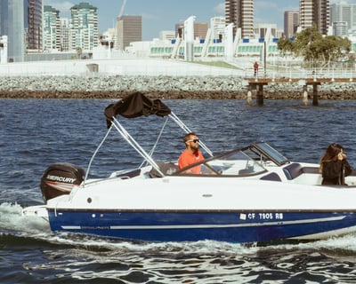 Drive a Bayliner 19' Boat Rental in San Diego