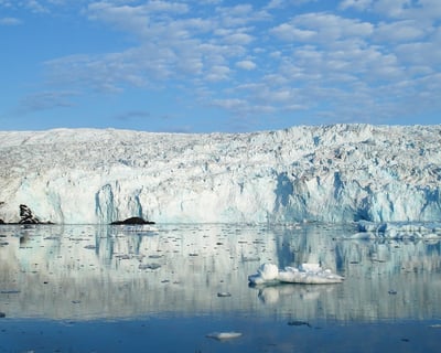Seward Glacier Sightseeing & Fishing Charter