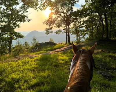 2-Hour Beech Mountain Guided Horseback Ride