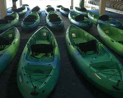 6-Hour Kayak & Paddleboard Rental in Naples