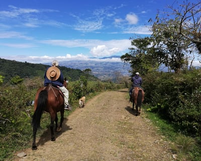Orosí Mountain Horseback Riding Tour