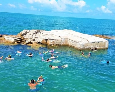 Guided Snorkeling Charter at Egmont Key