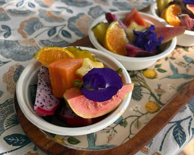 Farm-to-Table Tasting & Hydroponic Tour in Manatí