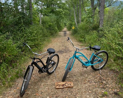 Full-Day E-Bike Rental in Wellsboro, PA