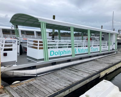 Private Dolphin & Nature Tour Charter in Hilton Head