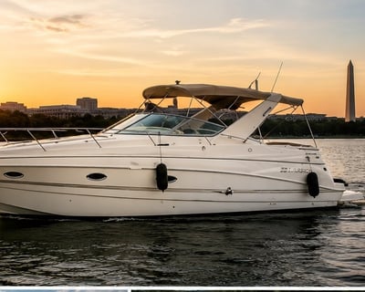 Boat Charter in Washington DC Aboard a 35' Larson