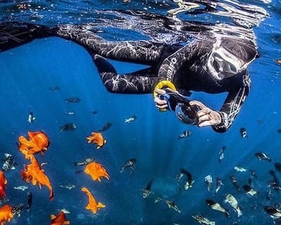 90-Minute Casino Point Snorkeling Experience