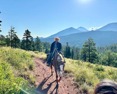 Half-Day Guided Horseback Ride in San Isabel National Forest