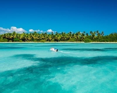 Private Snorkeling Tour of Saona Island