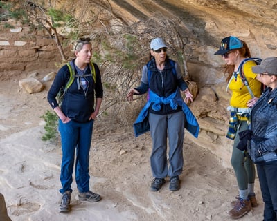 Mesa Verde Group Tour with Archaeologist-Trained Guide