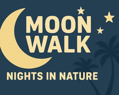 Moonlight Guided Hike at Rookery Bay