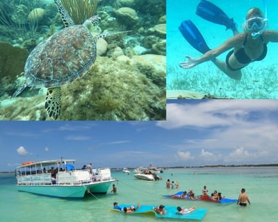 Islamorada Sandbar & Snorkel Cruise