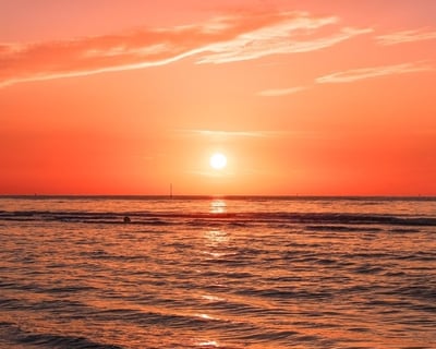 Sunset Dolphin Cruise in Panama City Beach