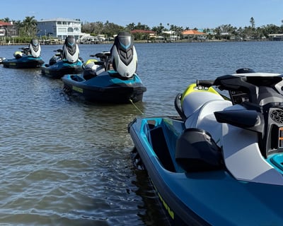 Dolphin Jet Ski Tour in Bradenton