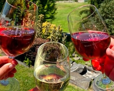6-Hour Zillah E-Bike Wine Tasting Tour