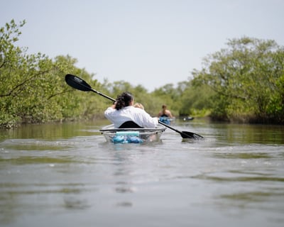 Guided Clear Kayak Tour in New Smyrna Beach