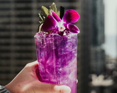 Chicago Cocktail-Making Class