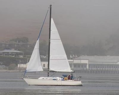 Three-Hour Sailing Tour of Bodega Bay