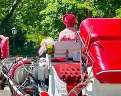 Central Park Horse Carriage Tour With Photo Stop