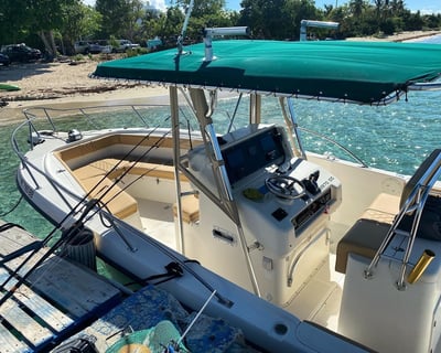 4-Hour Offshore Fishing Charter in Esperanza