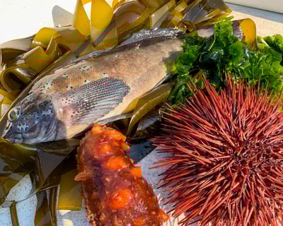 Fish, Forage, and Feast in Port Orford