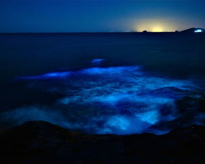 Guided Bioluminescence Kayak Tour on Tomales Bay