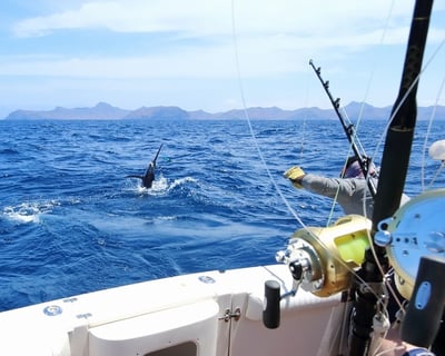Miami Beach Big Game Fishing Charter
