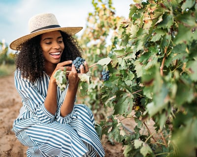 Explore Napa & Sonoma Wine Country From San Francisco