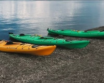 24-Hour Kayak Rental in Pinckney