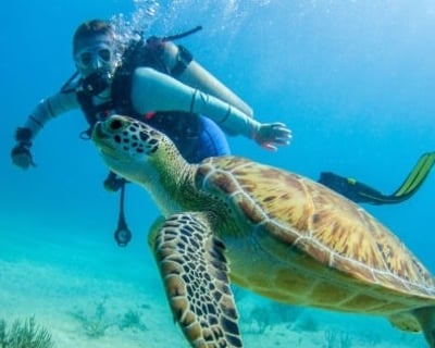 Private Dive Charter to Saona Island