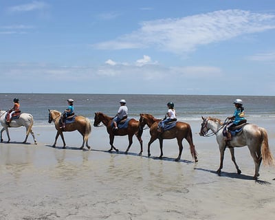 Jekyll Island 1-Hour Beach Horseback Ride