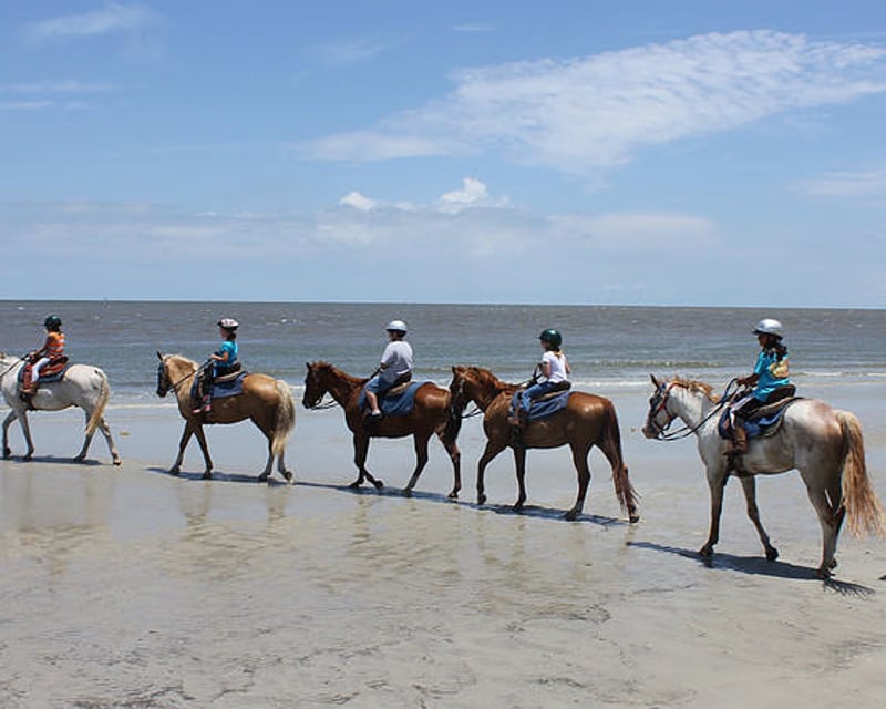 Jekyll Island 1-Hour Beach Horseback Ride